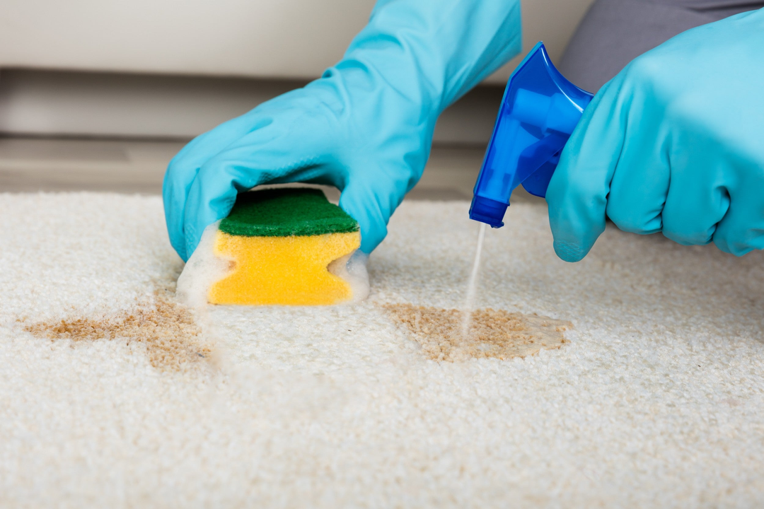 Carpet Cleaning / Odour Eliminators