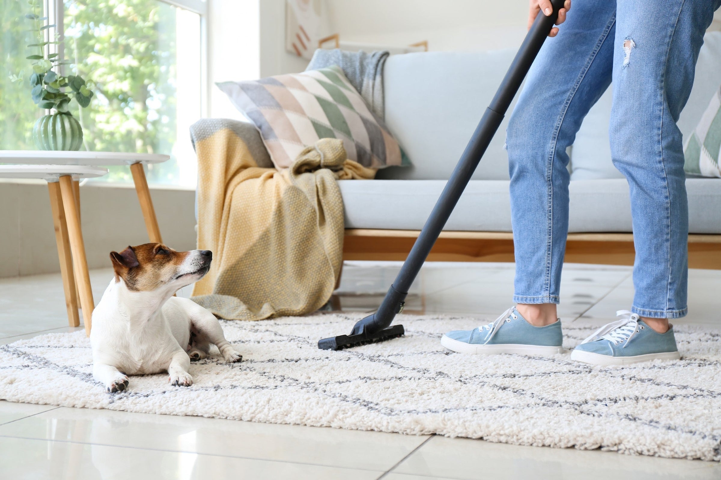 Pet Hair Vacuums